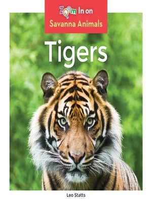 Tigers - ebook